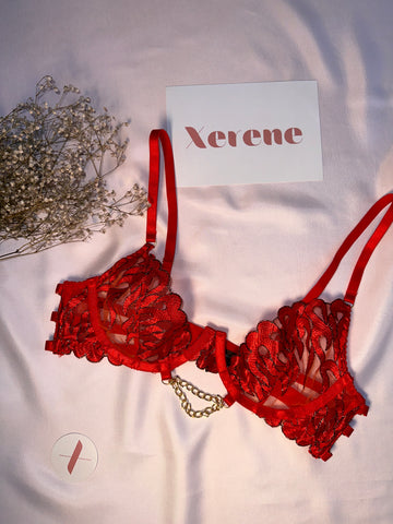 Fiery Desire Lingerie Set