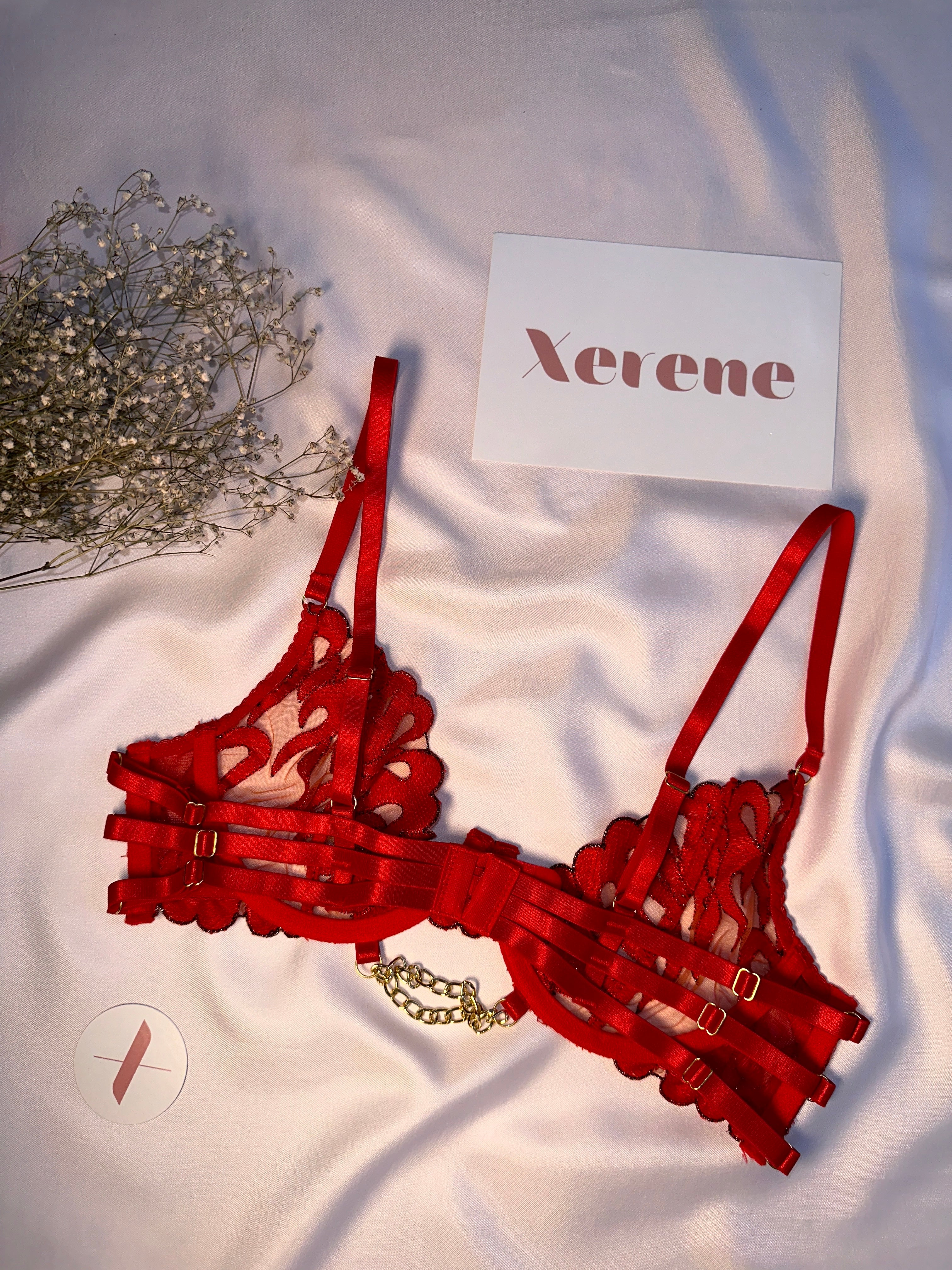 Fiery Desire Lingerie Set